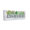 Stupell Industries Succulent & Cactus Jars with Plant Wall Art